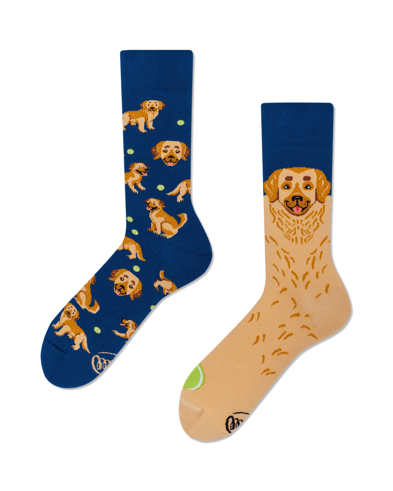 Many Mornings Golden Boy Hunde Socken